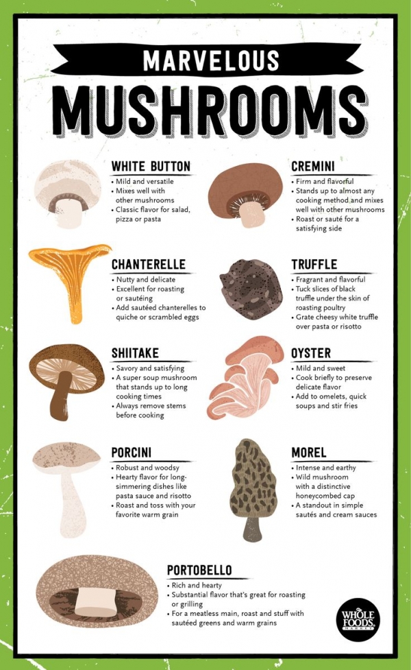 Mushroom Are Marvelous