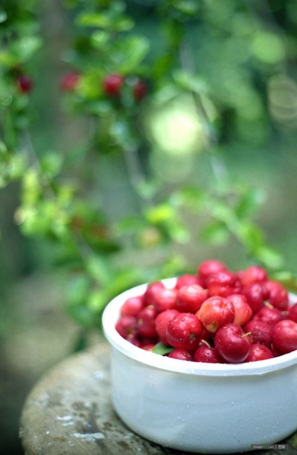 Acerola