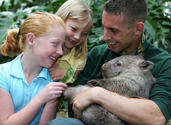 Picnic at a Wildlife Park