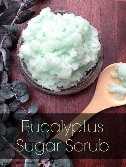 coconut,food,Eucalyptus,Sugar,Scrub,