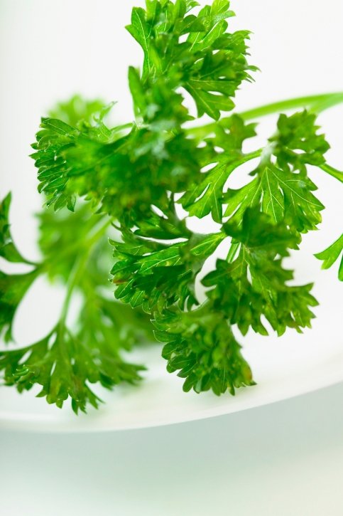 Parsley