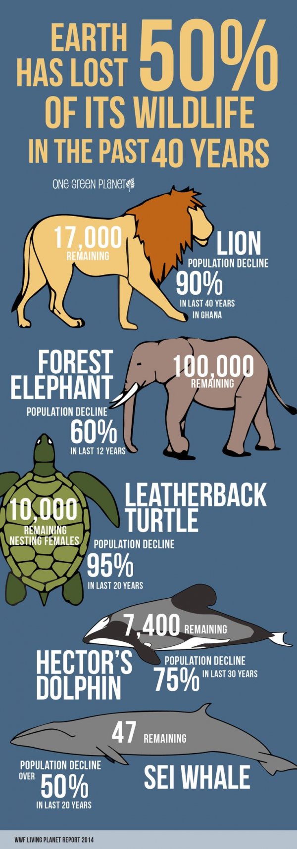 Disappearing Wildlife