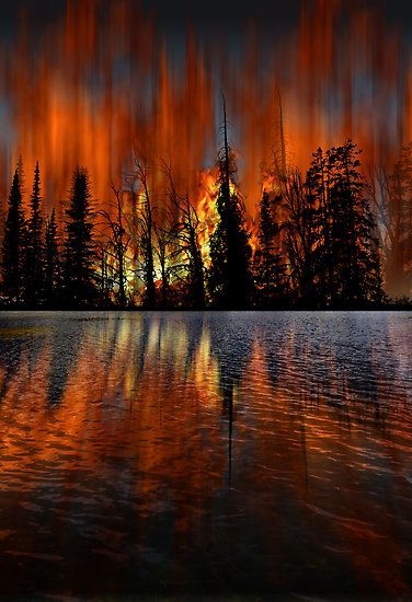 Blazing Forest and Fire