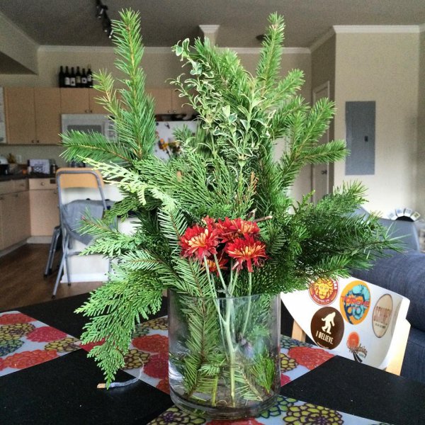 flower arranging, floristry, plant, flower, ikebana,