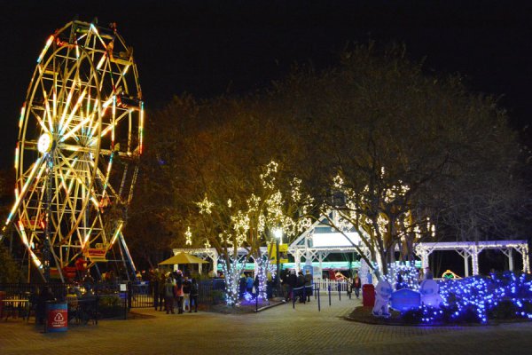 night, ferris wheel, amusement park, outdoor recreation, park,