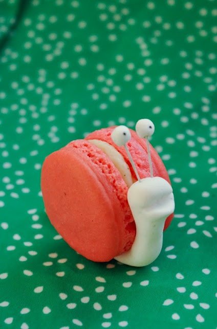 Snail Macarons