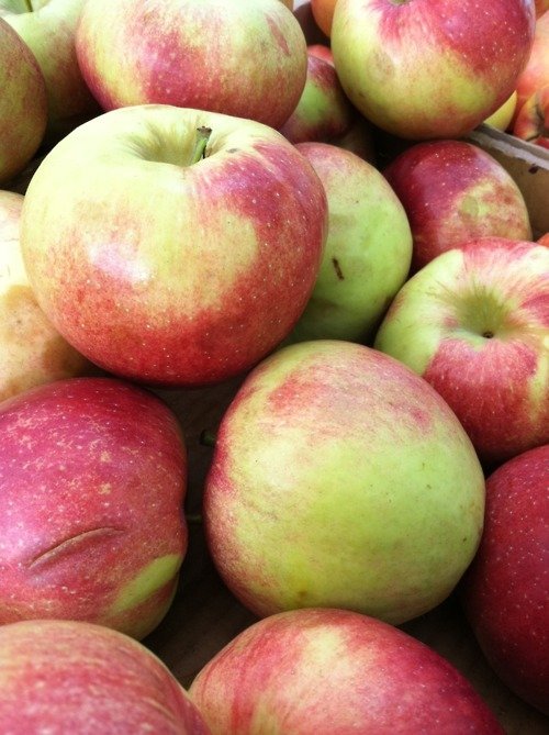 7 Sweetest and Most Unique Varieties of Apples to Put on Your Plate