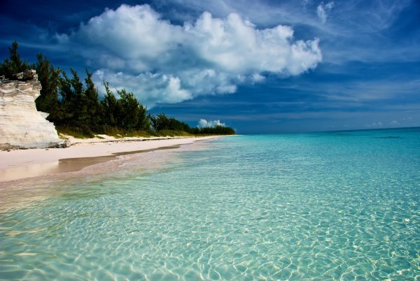 Shell Harvests on Eluthera Island, the Bahamas