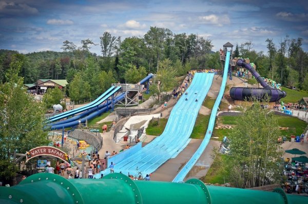 Enchanted Forest Water Safari