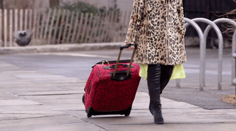 handbag, bag, fashion, product, pattern,