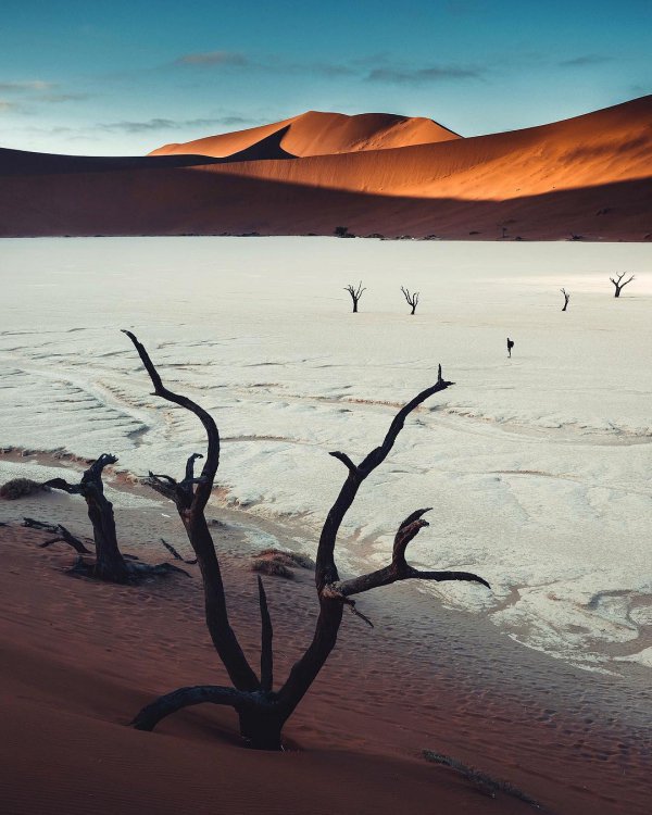 sky, sand, sunrise, horizon, shore,