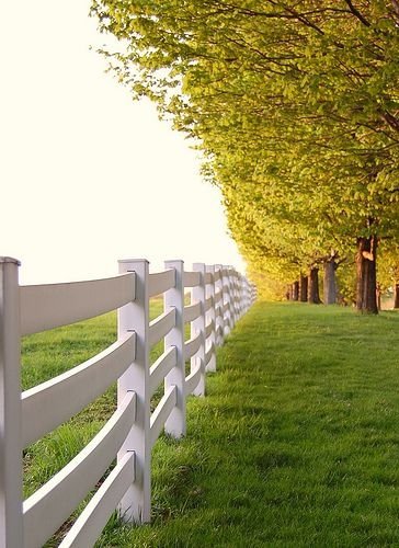 White Picket Fence