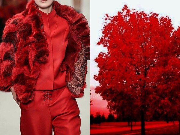 Shiatzy Chen F/W 2013 and Red Trees