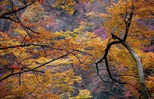 Mountains of Southwest China