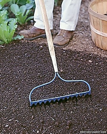 The Standard Rake