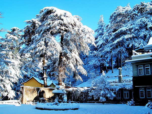 Shimla