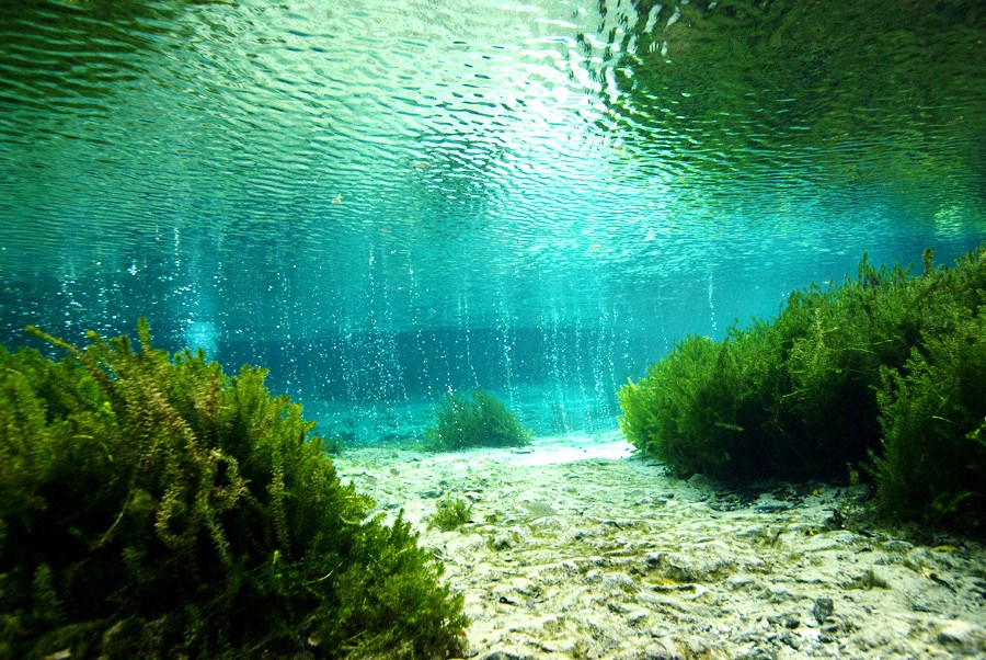 Ginnie Springs, Florida