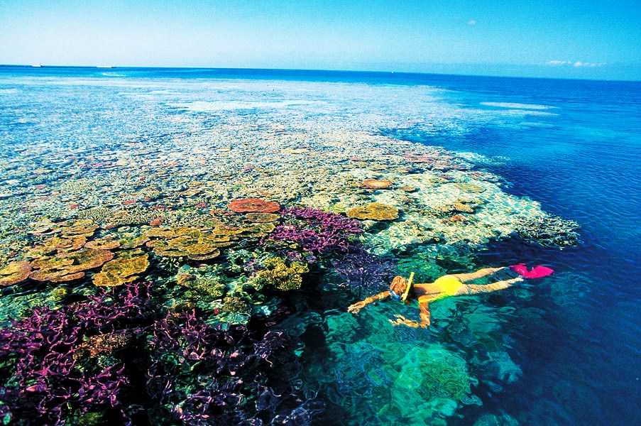 The Great Barrier Reef