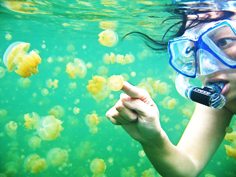 Jellyfish Lake, Palau