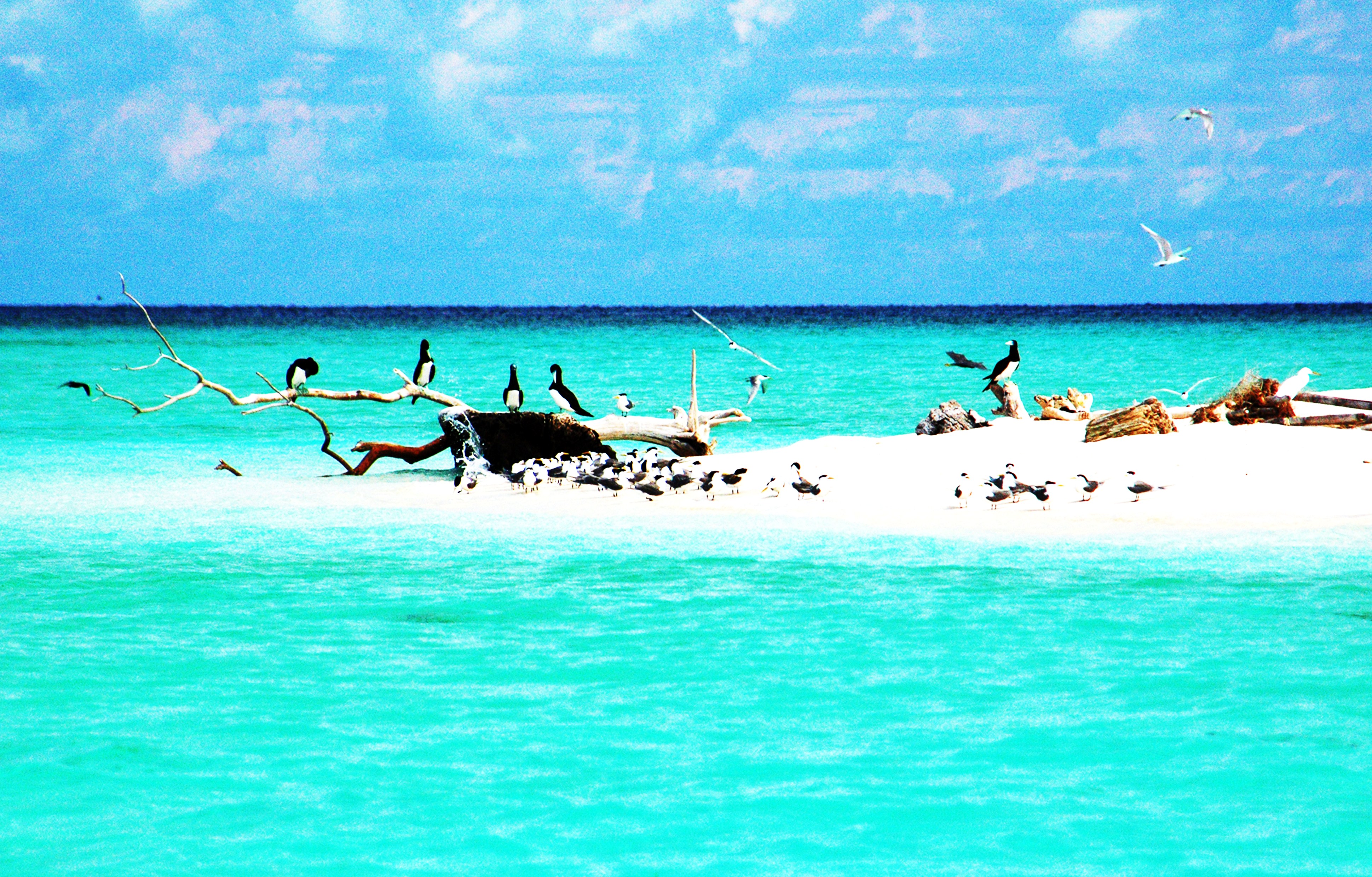 Tubbataha Reefs Natural Park