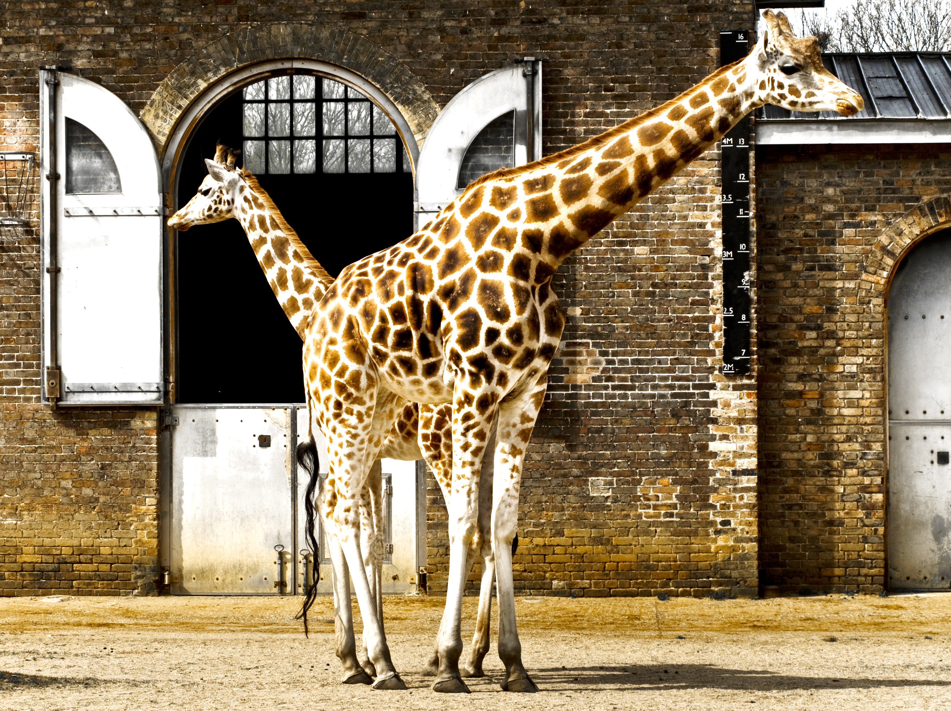 8 Wheelchair Friendly Things to do in London