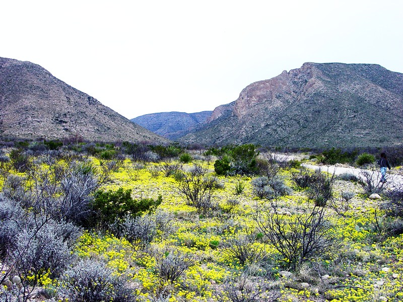 Carlsbad Caverns National Park