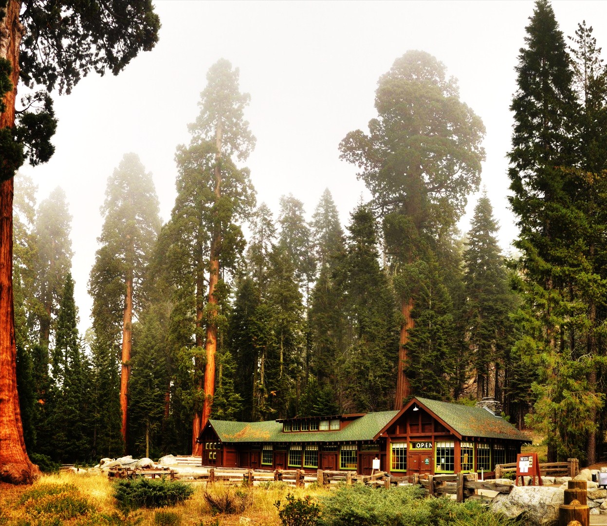 Sequoia National Park