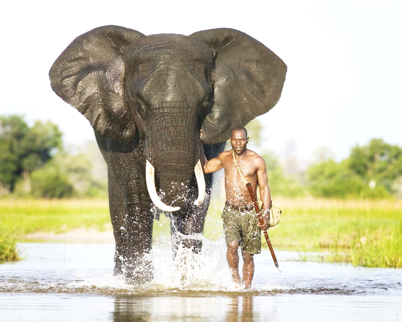 Safari in Africa