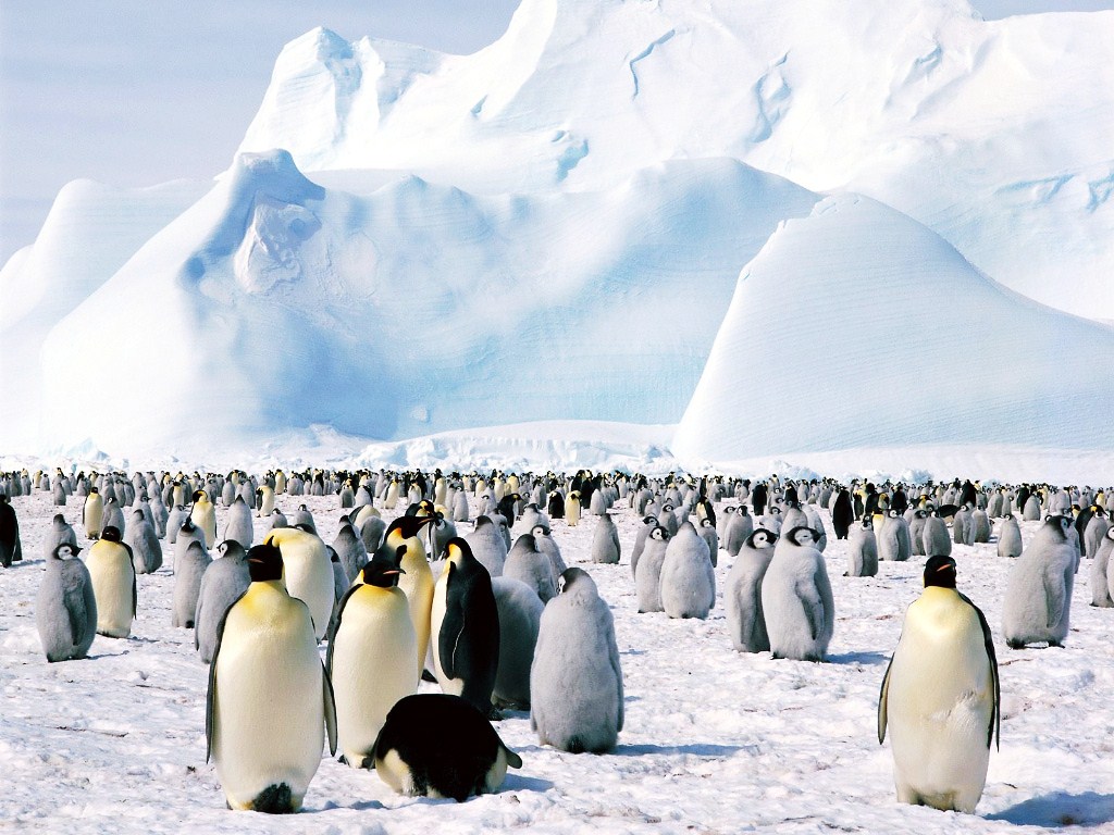 Antarctica