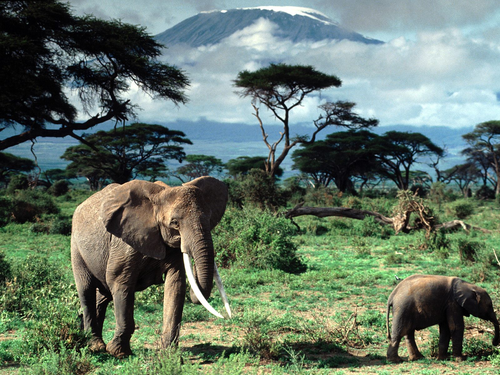 Mount Kilimanjaro, Tanzania