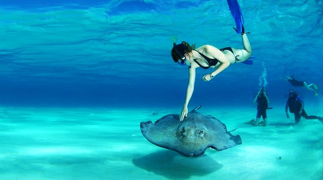 Splash with the Stingrays of Grand Cayman