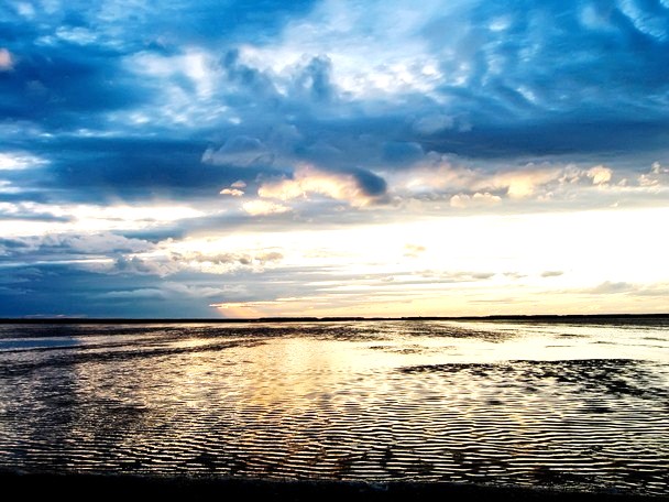 Camargue Salt Flats