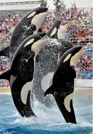 SeaWorld San Diego