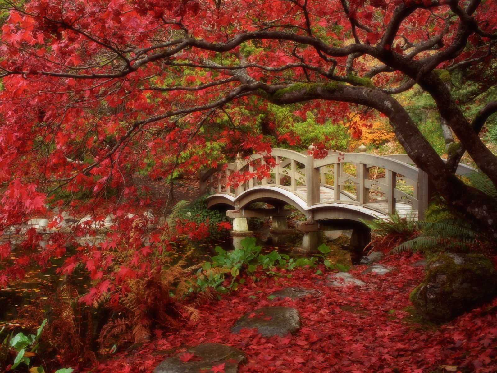 Portland Japanese Garden