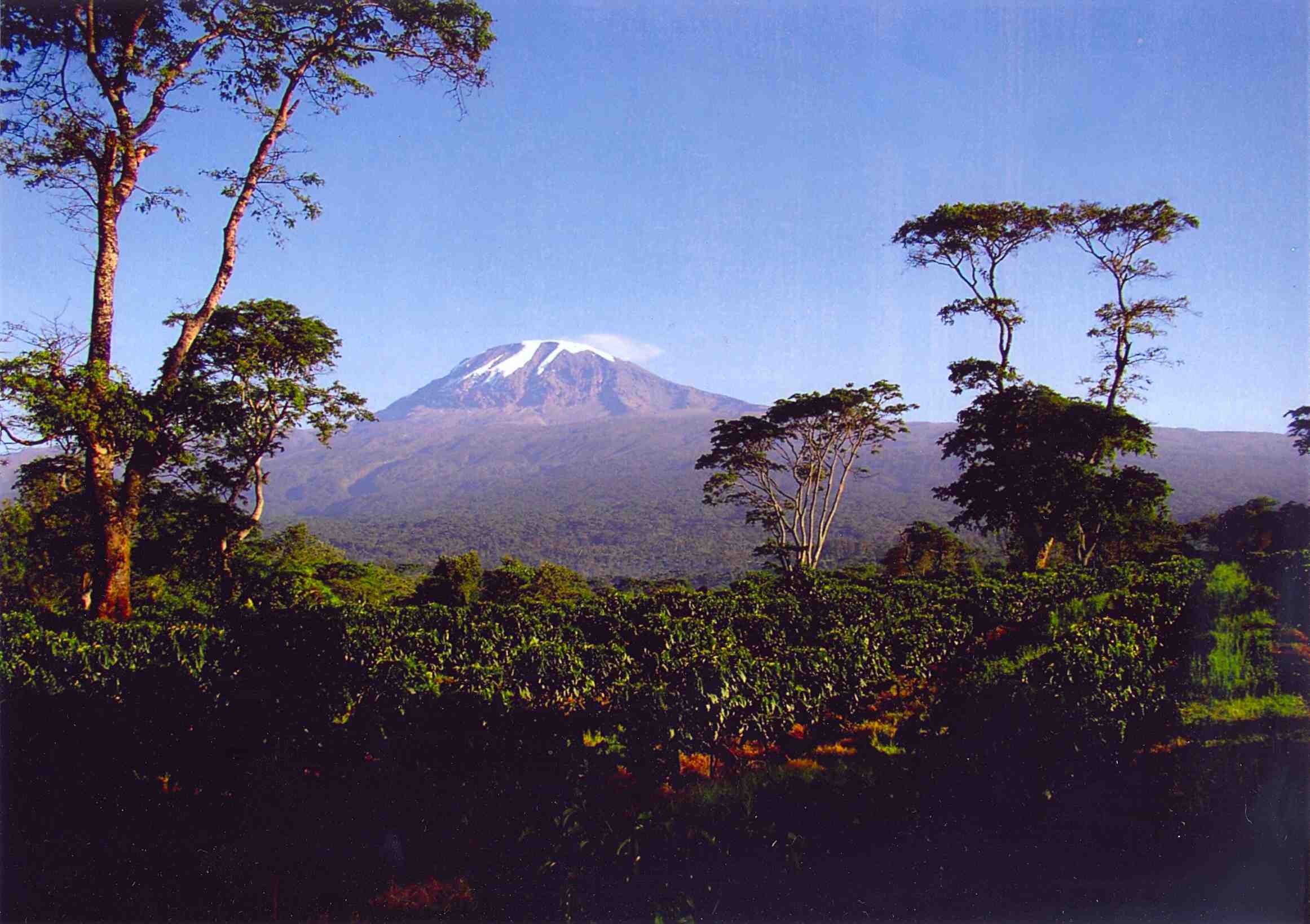 Cross-Cultural Solutions