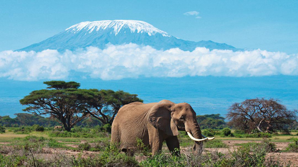 Amboseli