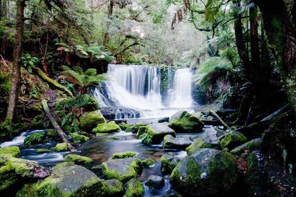 Natural Beauty – Mount Field National Park