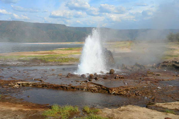 Bogoria