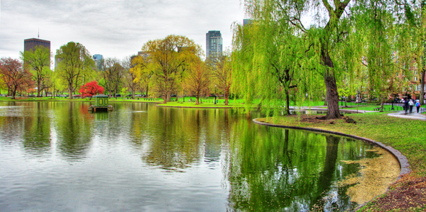 Boston's Public Garden