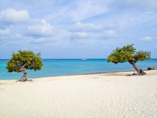 Eagle Beach, Aruba