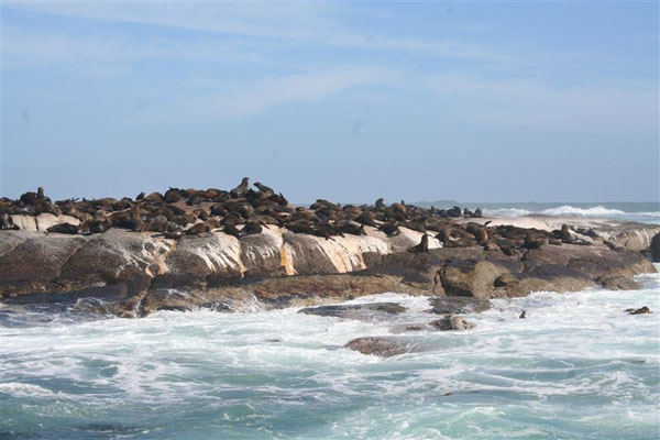 Vleesbaai