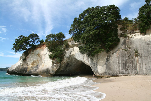 The Coromandel Pensinsula