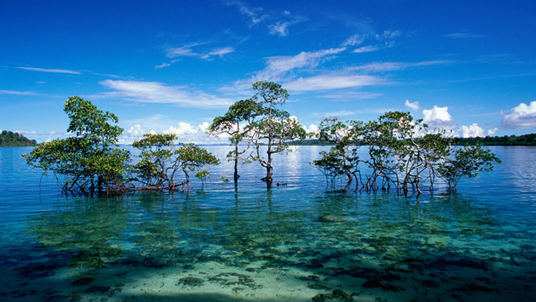 Andaman and Nicobar Islands