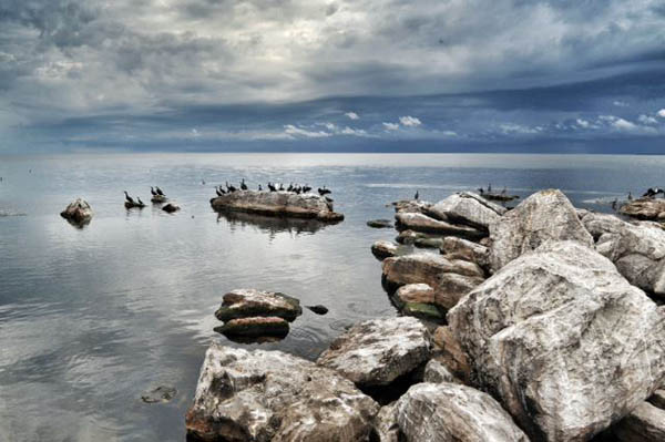 Take a Boat Trip on Lake Victoria