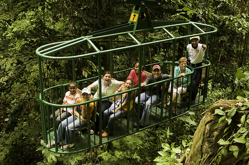 Ride the Rainforest Aerial Tram