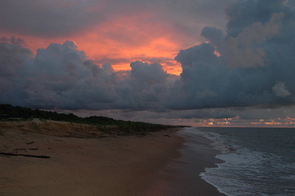 Matapica, Suriname