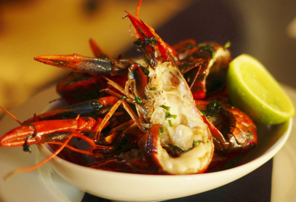 Yank out Yabbies in Melbourne, Australia