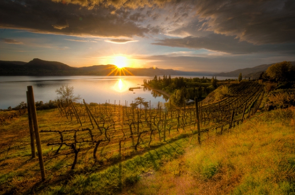 Top for Tipplers – Okanagan Wine Country