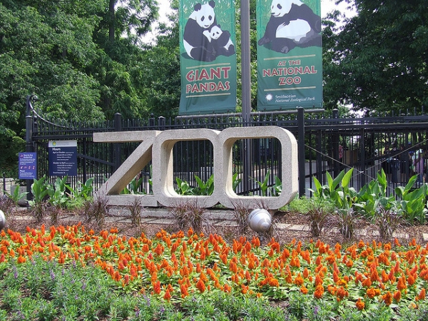 Check out the National Zoo