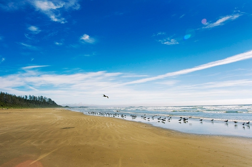 Scintillating for Surfers – Long Beach